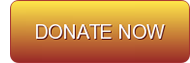 Image: Donate Now Button